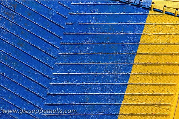 Blue and Yellow (40D_11015_2rid).jpg